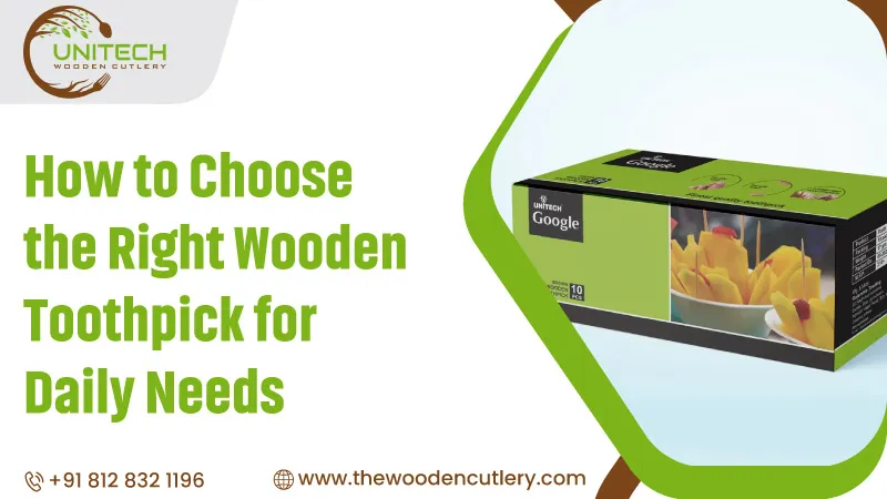 How to Choose the Right Wooden Toothpick for Daily Needs
