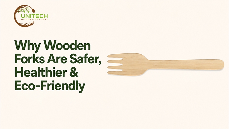 Why Wooden Forks Are Safer, Healthier & Eco-Friendly