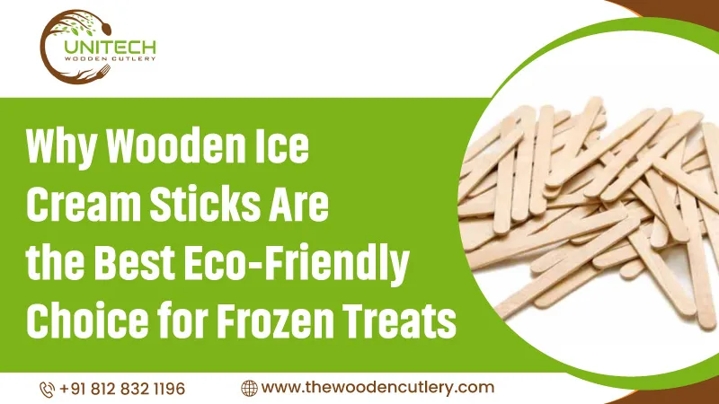 Why Wooden Ice Cream Sticks Are the Best Eco-Friendly Choice for Frozen Treats
