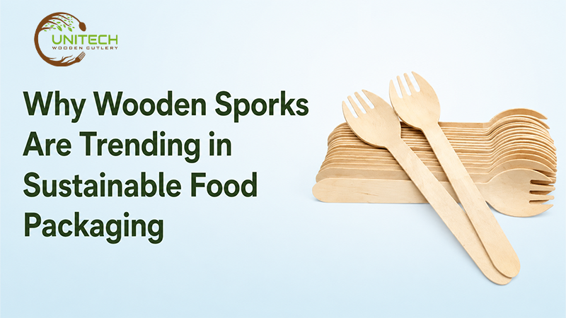 Why Wooden Sporks Are Trending in Sustainable Food Packaging