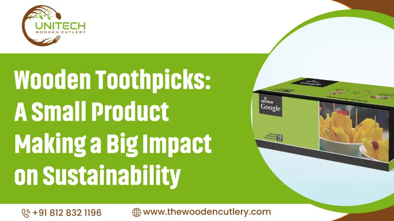 Wooden Toothpicks: A Small Product Making a Big Impact on Sustainability
